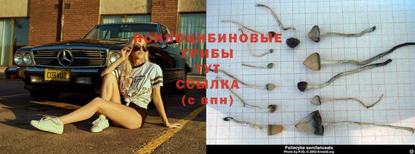 a pvp Карталы