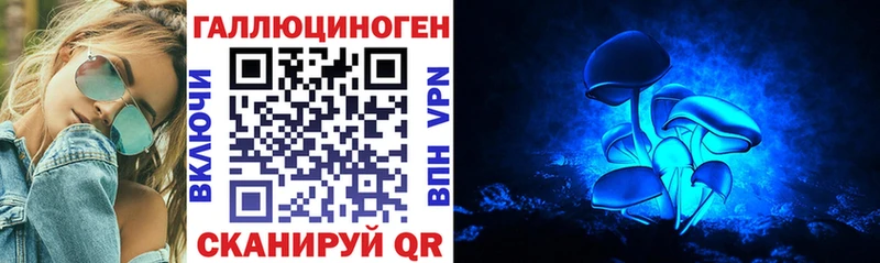 Купить где  Ветлуга  Галлюциногенные грибы мицелий 